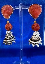 14K Scallop and Coral Murex Earrings