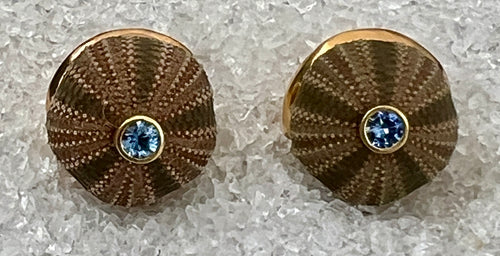 Pair of Sea Urchin Earrings with Aquamarines