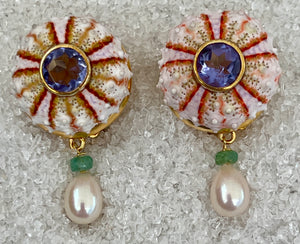 Pair of Sea Urchin Earrings with Tanzanite & Pearls