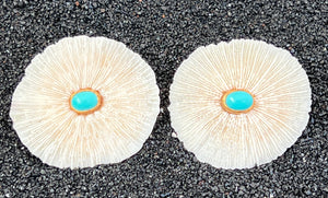 Pair of Sea Mushroom Earrings with Turquoise