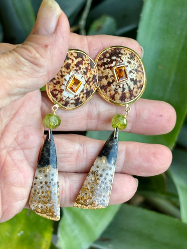 Limpet, Coral & Peridot, Vermeil Earrings