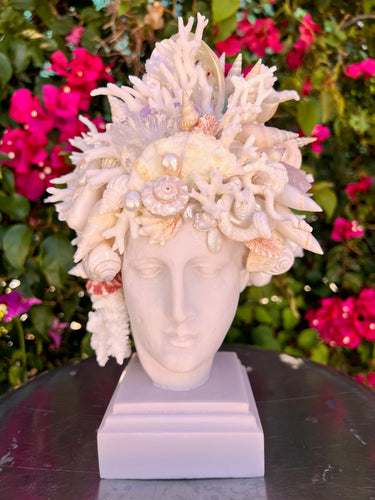 Christa's South Seashell Head of Hygeia