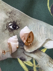 White Canarium Shell Earrings with Sapphire