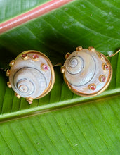 Pearled Snails with Sapphire Vermeil Earrings