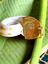 Sand Snail and Gemstone Pendant