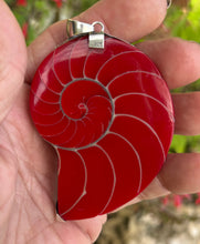 Red Nautilus Pendant with Turquoise