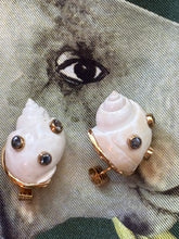 White Canarium Shell Earrings with Sapphire