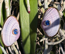 Lavender  Cockle & Blue Sapphire, Vermeil Earrings