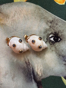 White Canarium Shell Earrings with Sapphire