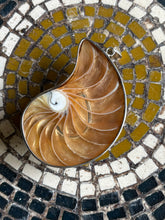 Nautilus Pendant with Larimar