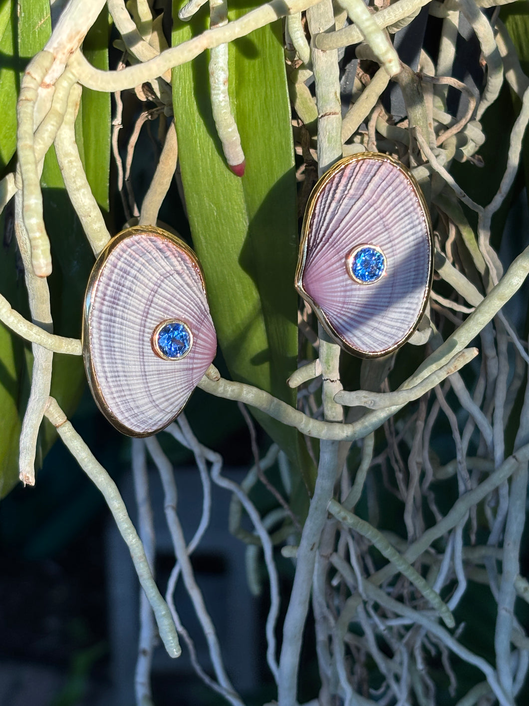 Lavender  Cockle & Blue Sapphire, Vermeil Earrings