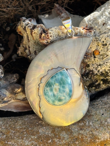 Nautilus Pendant with Larimar