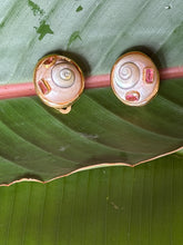 Sanded Snail & Citrine Vermeil Earrings