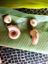 Sand Snails and Gemstone Vermeil Earrings