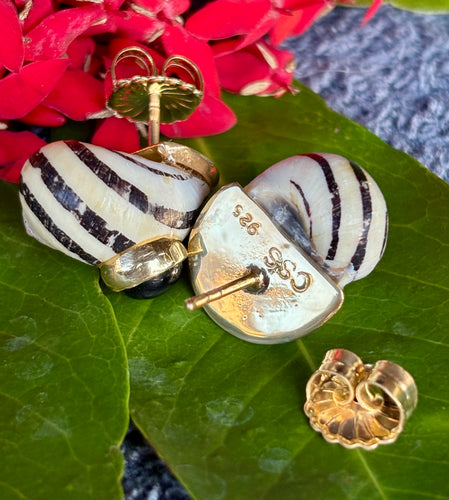 Nerite & Onyx Vermeil Ear Clip