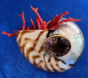 Vermeil nautilus, coral, and tourmaline brooch