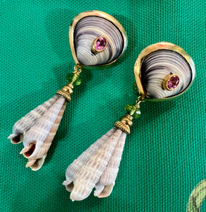 Terebra Shell Drop Earrings with Peridot and Topaz