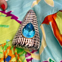 Conus Litteratus  Shell Brooch with Swiss Blue Topaz