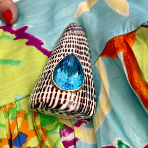 Conus Litteratus  Shell Brooch with Swiss Blue Topaz