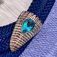 Conus Litteratus  Shell Brooch with Swiss Blue Topaz