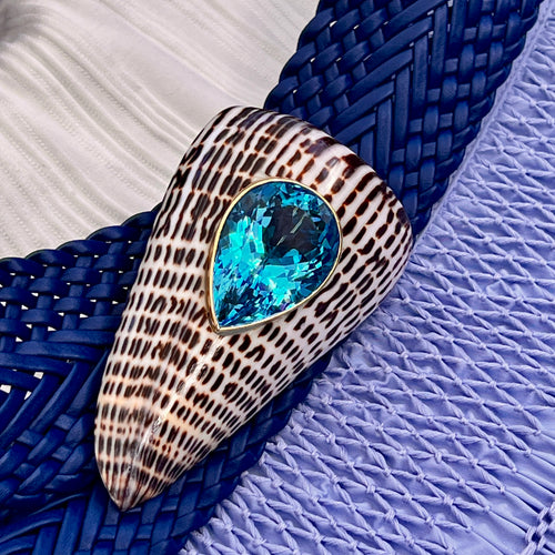 Conus Litteratus  Shell Brooch with Swiss Blue Topaz