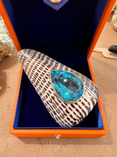 Conus Litteratus  Shell Brooch with Swiss Blue Topaz