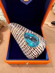 Conus Litteratus  Shell Brooch with Swiss Blue Topaz