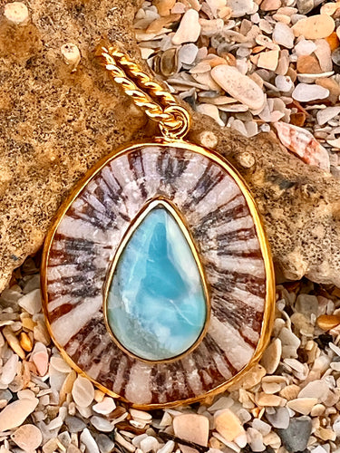 Limpet Shell Pendant with Larimar