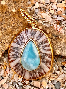 Limpet Shell Pendant with Larimar