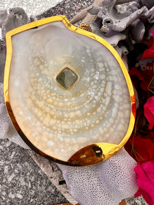 Acesta Rathbuni Shell Pendant with Aquamarine