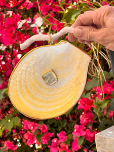 Acesta Rathbuni Shell Pendant with Aquamarine