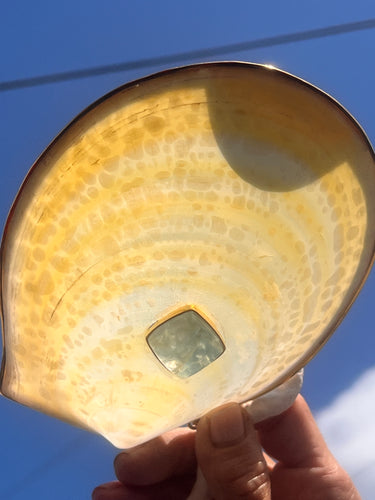 Acesta Rathbuni Shell Pendant with Aquamarine