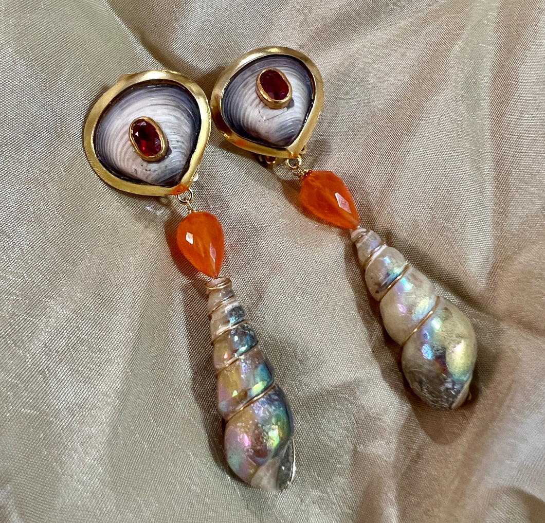 Carnelian, Sapphire and Fossil Shell Earrings