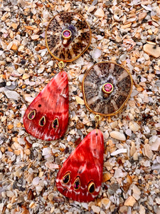 Limpet & Spondilius Shell Drop Earrings set with Garnets