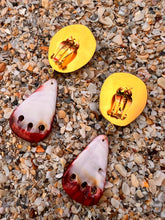 Limpet & Spondilius Shell Drop Earrings set with Garnets