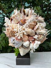 Christa's South Seashells Large Shell Encrusted Hygeia Head