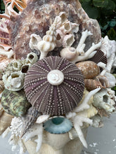 Christa's South Seashells Large Shell Encrusted Hygeia Head