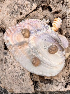 Pearled "What-not" Shell Dish