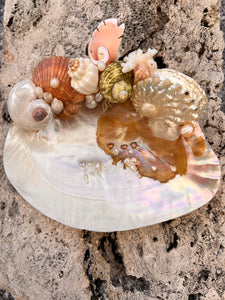 Pearled "What-not" Shell Dish