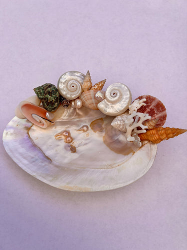 Pearled Seashell 