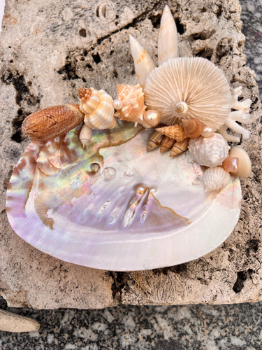 Pearled Seashell 