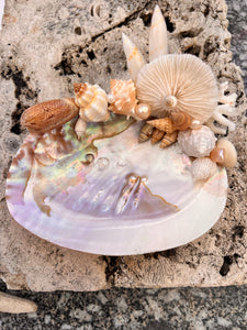 Pearled Seashell "What-not" Dish