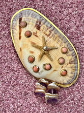 Callista Shell Brooch with Coral Cabochons and Seastar
