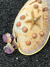 Callista Shell Brooch with Coral Cabochons and Seastar