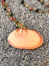 Cockle Brooch with Pink, Green and Blue Toumalines