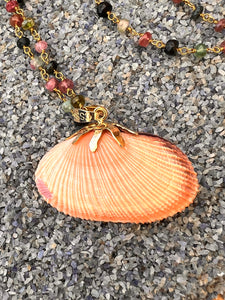 Cockle Brooch with Pink, Green and Blue Toumalines