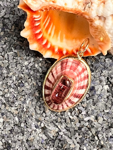 14-karat Lorelei Limpet Charm with Pink Tourmaline