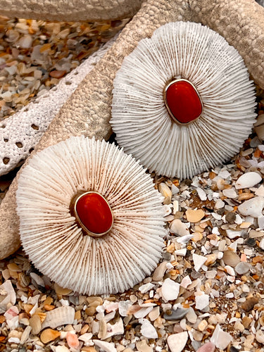 14-karat Gold Mushroom Coral Earrings with Italian Coral