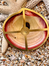 Pink Tiger Clam Pendant with Pink Tourmaline