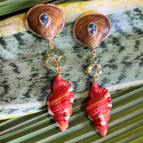 Cymbatium Shell Drop Earrings with Blue Topaz